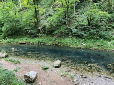 Gorski kotar - Vrbovsko, Hırvatistan 'daki küçük Kamacnik nehrinin koruma altındaki manzarası (Zasticeni krajolik rotası Kamacnik u Gorskom kotaru - Vrbovsko, Hrvatska)