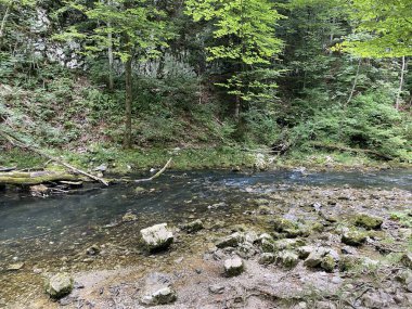 Gorski kotar - Vrbovsko, Hırvatistan 'daki küçük Kamacnik nehrinin koruma altındaki manzarası (Zasticeni krajolik rotası Kamacnik u Gorskom kotaru - Vrbovsko, Hrvatska)