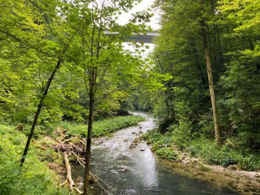 Gorski kotar - Vrbovsko, Hırvatistan 'daki küçük Kamacnik nehrinin koruma altındaki manzarası (Zasticeni krajolik rotası Kamacnik u Gorskom kotaru - Vrbovsko, Hrvatska)