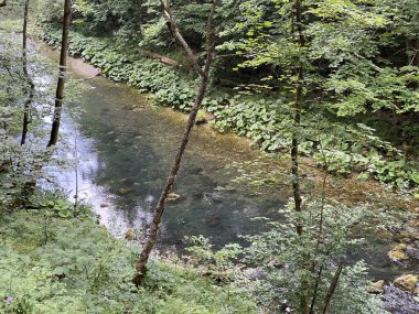Gorski kotar - Vrbovsko, Hırvatistan 'daki küçük Kamacnik nehrinin koruma altındaki manzarası (Zasticeni krajolik rotası Kamacnik u Gorskom kotaru - Vrbovsko, Hrvatska)