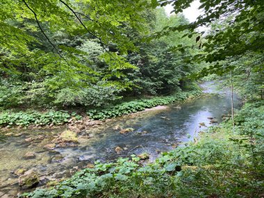 Gorski kotar - Vrbovsko, Hırvatistan 'daki küçük Kamacnik nehrinin koruma altındaki manzarası (Zasticeni krajolik rotası Kamacnik u Gorskom kotaru - Vrbovsko, Hrvatska)