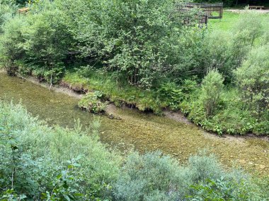 Gorski kotar - Vrbovsko, Hırvatistan 'daki küçük Kamacnik nehrinin koruma altındaki manzarası (Zasticeni krajolik rotası Kamacnik u Gorskom kotaru - Vrbovsko, Hrvatska)