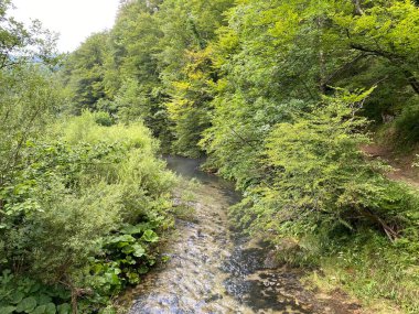 Gorski kotar - Vrbovsko, Hırvatistan 'daki küçük Kamacnik nehrinin koruma altındaki manzarası (Zasticeni krajolik rotası Kamacnik u Gorskom kotaru - Vrbovsko, Hrvatska)