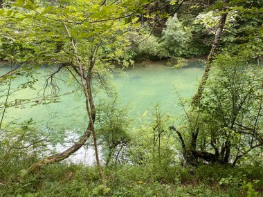 Gorski kotar - Vrbovsko, Hırvatistan 'daki küçük Kamacnik nehrinin koruma altındaki manzarası (Zasticeni krajolik rotası Kamacnik u Gorskom kotaru - Vrbovsko, Hrvatska)