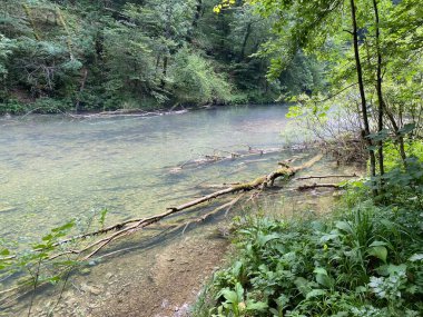 Gorski kotar - Vrbovsko, Hırvatistan 'daki küçük Kamacnik nehrinin koruma altındaki manzarası (Zasticeni krajolik rotası Kamacnik u Gorskom kotaru - Vrbovsko, Hrvatska)