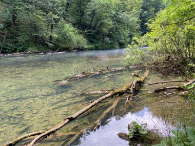 Gorski kotar - Vrbovsko, Hırvatistan 'daki küçük Kamacnik nehrinin koruma altındaki manzarası (Zasticeni krajolik rotası Kamacnik u Gorskom kotaru - Vrbovsko, Hrvatska)