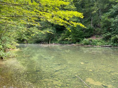 Gorski kotar - Vrbovsko, Hırvatistan 'daki küçük Kamacnik nehrinin koruma altındaki manzarası (Zasticeni krajolik rotası Kamacnik u Gorskom kotaru - Vrbovsko, Hrvatska)