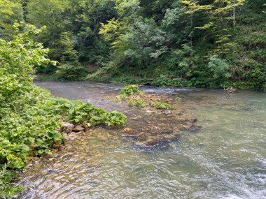 Gorski kotar - Vrbovsko, Hırvatistan 'daki küçük Kamacnik nehrinin koruma altındaki manzarası (Zasticeni krajolik rotası Kamacnik u Gorskom kotaru - Vrbovsko, Hrvatska)