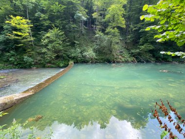 Gorski kotar - Vrbovsko, Hırvatistan 'daki küçük Kamacnik nehrinin koruma altındaki manzarası (Zasticeni krajolik rotası Kamacnik u Gorskom kotaru - Vrbovsko, Hrvatska)