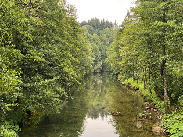 ゴルスキ コタル川の保護された景観の隣にあるドブラ川 クロアチアのヴルボフスコ リジェカ ドブラ ザスティチェニ クラヨナ カマコナ ゴルスコム コタル — ストック写真