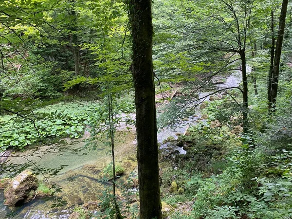 Paisagem Protegida Pequeno Rio Kamacnik Gorski Kotar Vrbovsko Croácia Zasticeni — Fotografia de Stock