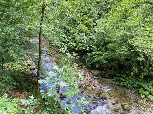 Paesaggio Protetto Del Piccolo Fiume Kamacnik Nel Gorski Kotar Vrbovsko — Foto Stock