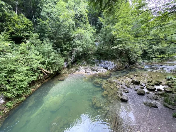 ゴルスキ コタルの小さな川の保護された風景 クロアチア ヴルボフスコ Zaziceni Krajolik Rjecice Kanjona Kamacnik Gorskom — ストック写真