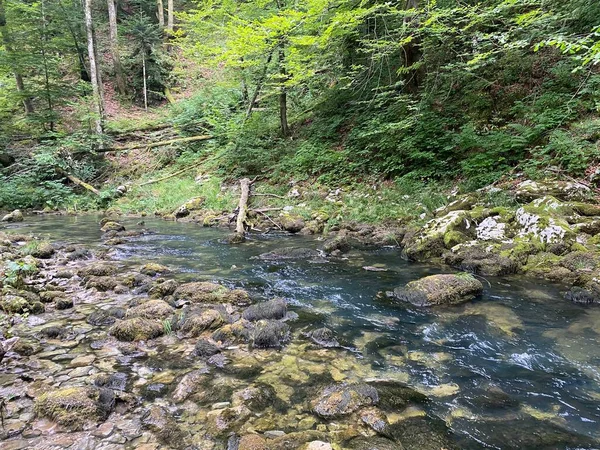 ゴルスキ コタルの小さな川の保護された風景 クロアチア ヴルボフスコ Zaziceni Krajolik Rjecice Kanjona Kamacnik Gorskom — ストック写真