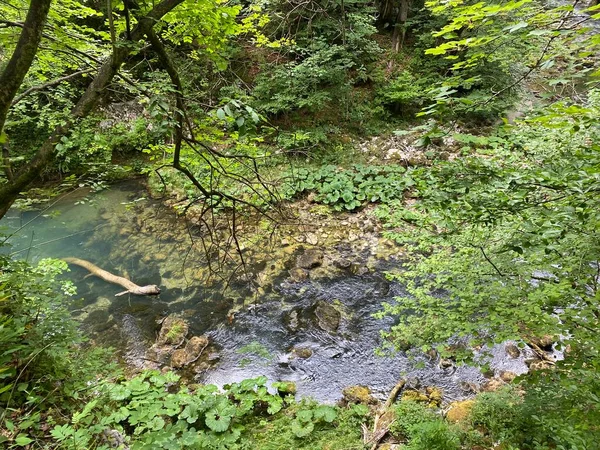 Paesaggio Protetto Del Piccolo Fiume Kamacnik Nel Gorski Kotar Vrbovsko — Foto Stock