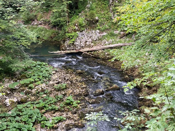Protected Landscape Small River Kamacnik Gorski Kotar Vrbovsko Croatia Zasticeni — Stock Photo, Image