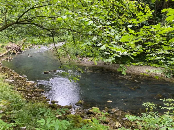 Beschermd Landschap Van Kleine Rivier Kamacnik Gorski Kotar Vrbovsko Kroatië — Stockfoto