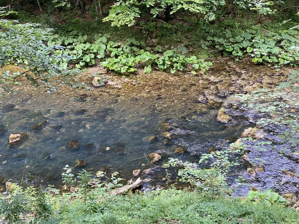 Chroniony Krajobraz Małej Rzeki Kamacnik Gorskim Kotarze Vrbovsko Chorwacja Zasticeni — Zdjęcie stockowe