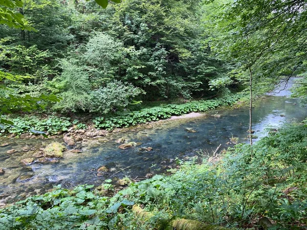 Geschützte Landschaft Des Kleinen Flusses Kamacnik Gorski Kotar Vrbovsko Kroatien — Stockfoto