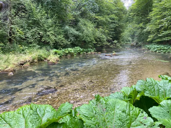 Beschermd Landschap Van Kleine Rivier Kamacnik Gorski Kotar Vrbovsko Kroatië — Stockfoto