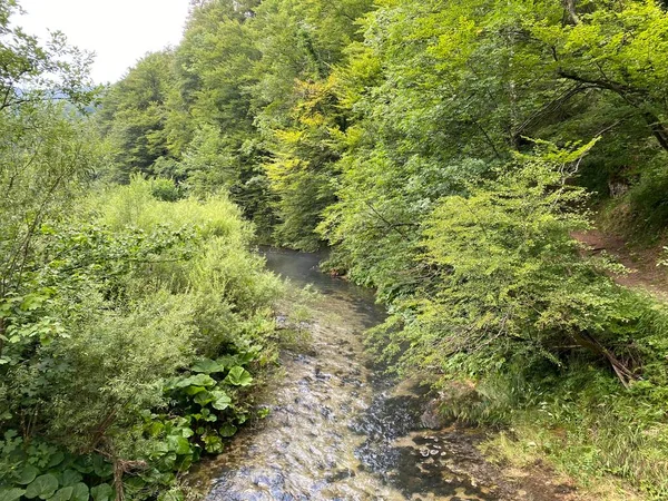 ゴルスキ コタルの小さな川の保護された風景 クロアチア ヴルボフスコ Zaziceni Krajolik Rjecice Kamacnik Gorskom Kotaru — ストック写真