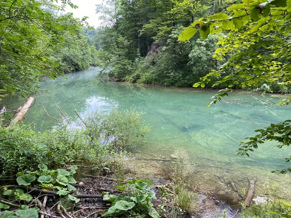 Gorski Kotar Vrbovsko Hırvatistan Daki Küçük Kamacnik Nehrinin Koruma Altındaki — Stok fotoğraf