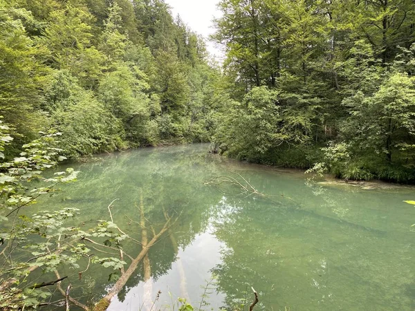 ゴルスキ コタルの小さな川の保護された風景 クロアチア ヴルボフスコ Zaziceni Krajolik Rjecice Kamacnik Gorskom Kotaru — ストック写真