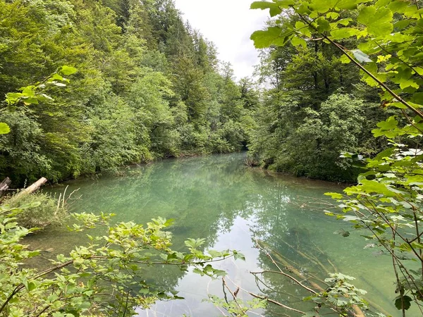 Paisagem Protegida Pequeno Rio Kamacnik Gorski Kotar Vrbovsko Croácia Zasticeni — Fotografia de Stock