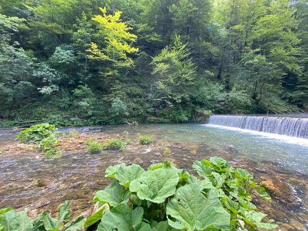 Gorski kotar - Vrbovsko, Hırvatistan 'daki küçük Kamacnik nehrinin koruma altındaki manzarası (Zasticeni krajolik rotası Kamacnik u Gorskom kotaru - Vrbovsko, Hrvatska)