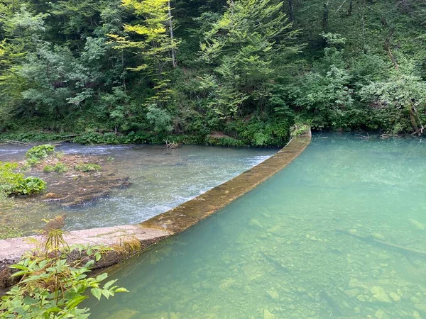 ゴルスキ コタルの小さな川の保護された風景 クロアチア ヴルボフスコ Zaziceni Krajolik Rjecice Kamacnik Gorskom Kotaru — ストック写真