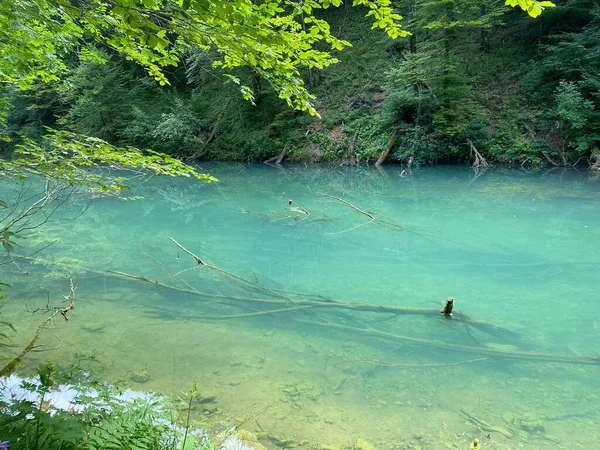 Paisagem Protegida Pequeno Rio Kamacnik Gorski Kotar Vrbovsko Croácia Zasticeni — Fotografia de Stock