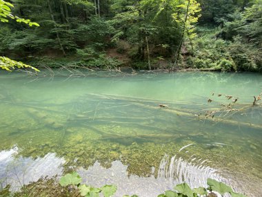 Gorski kotar - Vrbovsko, Hırvatistan 'daki küçük Kamacnik nehrinin koruma altındaki manzarası (Zasticeni krajolik rotası Kamacnik u Gorskom kotaru - Vrbovsko, Hrvatska)