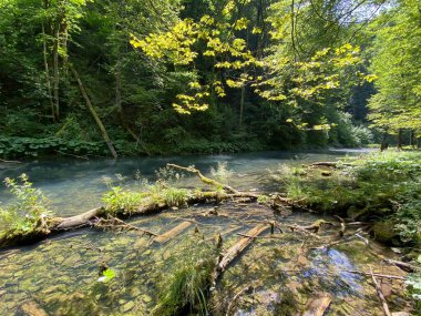 Gorski kotar - Vrbovsko, Hırvatistan 'daki küçük Kamacnik nehrinin koruma altındaki manzarası (Zasticeni krajolik rotası Kamacnik u Gorskom kotaru - Vrbovsko, Hrvatska)