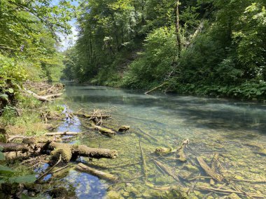 Gorski kotar - Vrbovsko, Hırvatistan 'daki küçük Kamacnik nehrinin koruma altındaki manzarası (Zasticeni krajolik rotası Kamacnik u Gorskom kotaru - Vrbovsko, Hrvatska)