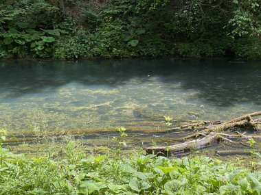 Gorski kotar - Vrbovsko, Hırvatistan 'daki küçük Kamacnik nehrinin koruma altındaki manzarası (Zasticeni krajolik rotası Kamacnik u Gorskom kotaru - Vrbovsko, Hrvatska)