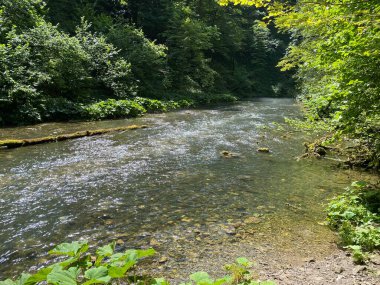Gorski kotar - Vrbovsko, Hırvatistan 'daki küçük Kamacnik nehrinin koruma altındaki manzarası (Zasticeni krajolik rotası Kamacnik u Gorskom kotaru - Vrbovsko, Hrvatska)