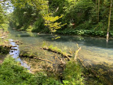 Gorski kotar - Vrbovsko, Hırvatistan 'daki küçük Kamacnik nehrinin koruma altındaki manzarası (Zasticeni krajolik rotası Kamacnik u Gorskom kotaru - Vrbovsko, Hrvatska)