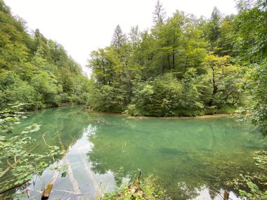 Gorski kotar - Vrbovsko, Hırvatistan 'daki küçük Kamacnik nehrinin koruma altındaki manzarası (Zasticeni krajolik rotası Kamacnik u Gorskom kotaru - Vrbovsko, Hrvatska)