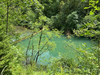 Gorski kotar - Vrbovsko, Hırvatistan 'daki küçük Kamacnik nehrinin koruma altındaki manzarası (Zasticeni krajolik rotası Kamacnik u Gorskom kotaru - Vrbovsko, Hrvatska)