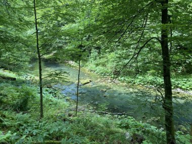 Gorski kotar - Vrbovsko, Hırvatistan 'daki küçük Kamacnik nehrinin koruma altındaki manzarası (Zasticeni krajolik rotası Kamacnik u Gorskom kotaru - Vrbovsko, Hrvatska)