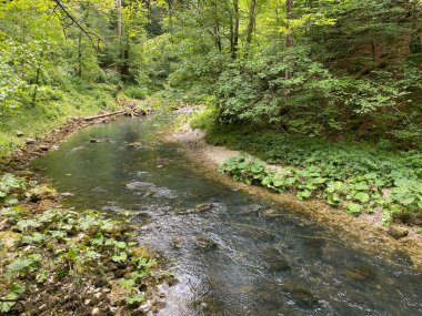 Gorski kotar - Vrbovsko, Hırvatistan 'daki küçük Kamacnik nehrinin koruma altındaki manzarası (Zasticeni krajolik rotası Kamacnik u Gorskom kotaru - Vrbovsko, Hrvatska)
