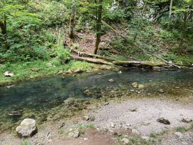 Gorski kotar - Vrbovsko, Hırvatistan 'daki küçük Kamacnik nehrinin koruma altındaki manzarası (Zasticeni krajolik rotası Kamacnik u Gorskom kotaru - Vrbovsko, Hrvatska)