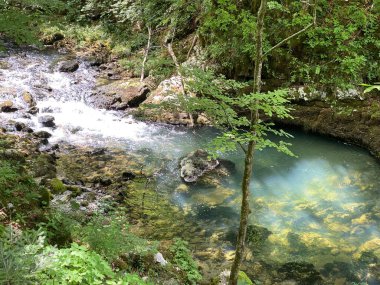 Gorski kotar - Vrbovsko, Hırvatistan 'daki küçük Kamacnik nehrinin koruma altındaki manzarası (Zasticeni krajolik rotası Kamacnik u Gorskom kotaru - Vrbovsko, Hrvatska)