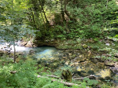 Gorski kotar - Vrbovsko, Hırvatistan 'daki küçük Kamacnik nehrinin koruma altındaki manzarası (Zasticeni krajolik rotası Kamacnik u Gorskom kotaru - Vrbovsko, Hrvatska)