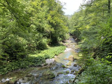 Gorski kotar - Vrbovsko, Hırvatistan 'daki küçük Kamacnik nehrinin koruma altındaki manzarası (Zasticeni krajolik rotası Kamacnik u Gorskom kotaru - Vrbovsko, Hrvatska)