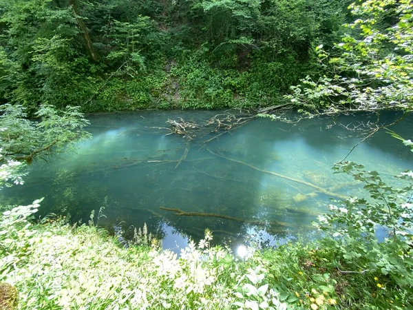 Geschützte Landschaft Des Kleinen Flusses Kamacnik Gorski Kotar Vrbovsko Kroatien — Stockfoto