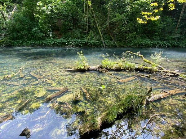 Paisagem Protegida Pequeno Rio Kamacnik Gorski Kotar Vrbovsko Croácia Zasticeni — Fotografia de Stock
