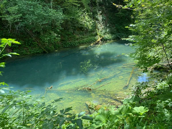 Chroniony Krajobraz Małej Rzeki Kamacnik Gorskim Kotarze Vrbovsko Chorwacja Zasticeni — Zdjęcie stockowe