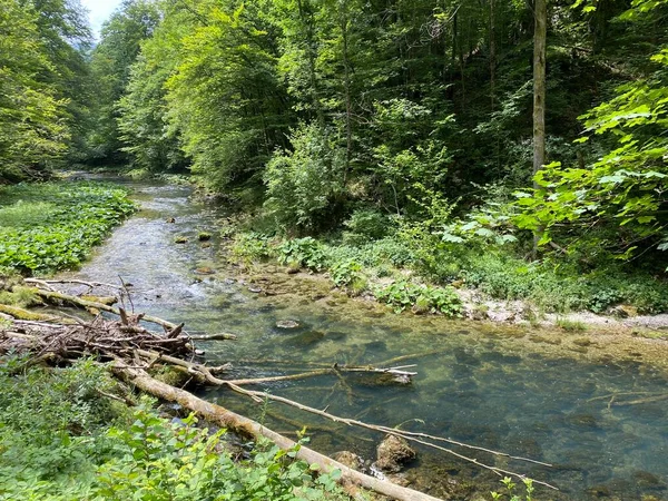 Geschützte Landschaft Des Kleinen Flusses Kamacnik Gorski Kotar Vrbovsko Kroatien — Stockfoto