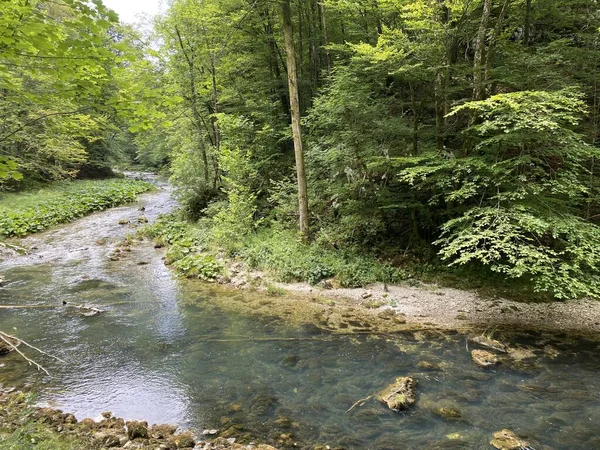 Paisaje Protegido Del Pequeño Río Kamacnik Gorski Kotar Vrbovsko Croacia —  Fotos de Stock
